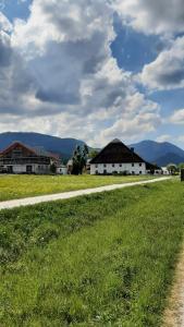 Wolfgangseeblick am Pilznerhof