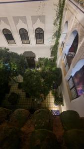 Riad Dalia