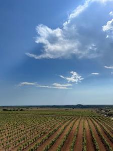 Casale Gorghi Tondi House & Vineyard with Jacuzzi