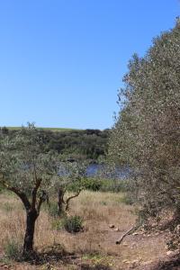 Casale Gorghi Tondi House & Vineyard with Jacuzzi