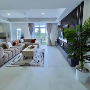 Palm whispers homes