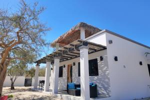 Beautiful modern house with a rustic palapa shade