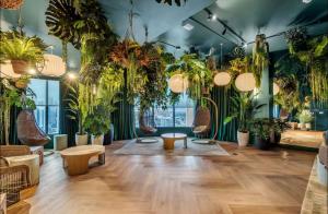 NOK Urban Studio in Prime Miami Location