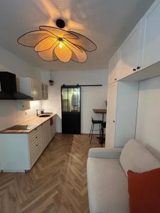 Le studio avignonnais