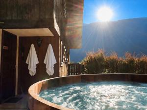 Chalet des Grémiloups, Jacuzzi and Mont-Blanc view