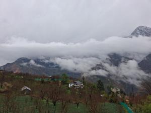 Oma 60 8 Homestay