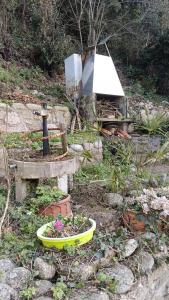 Bel appartement près dAmélie-les-Bains avec jardin