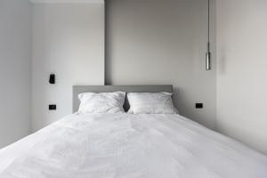 Alecsandri Central Stay Apartments - Close to Old Town