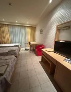 Sunny Beach Studio