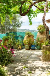 Apanemidi Traditional House with Pool