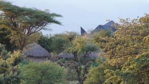 Furaha Luxury Lodge
