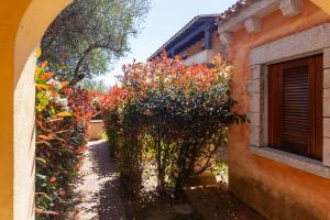 Zenia Rooms img38