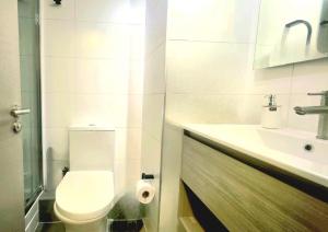 Vistas a la Codillera de los Andes en Santiago Moderno