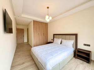 Luxury Apartment with Terrace Victor Hugo