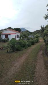Il Lentisco beach house img26
