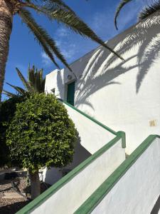 Santa Úrsula 66
