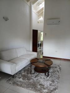 Gorgeous One Bedroom Apartment