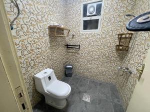 دار ناصر