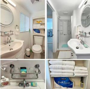 fremont Rental