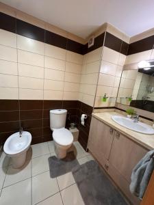 Luxurious furnished apartment for families