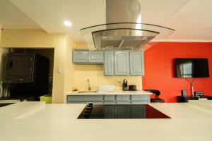 Central 2 bed Apt near Devon House