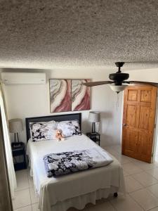 Oceanview Retreat - 3 bedroom
