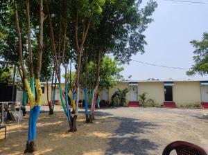 Dolphin Blooms Beach Resorts