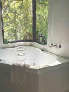 Ecoasis Mami Wata Retreat