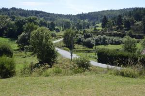 La parrot en margeride