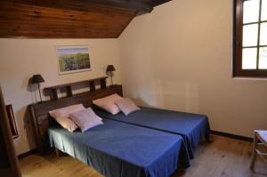 La parrot en margeride