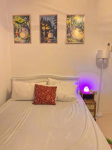 Totoro Homestay near Region 12 Offices