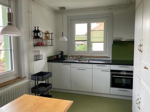 Hopfengrün Langenthal
