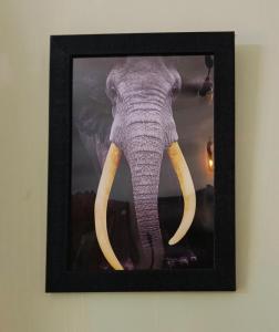 Cherys Bunglow Homestay- Rooms