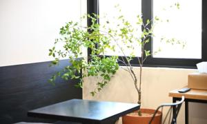 HOTEL STAY AYANA DAEJEON