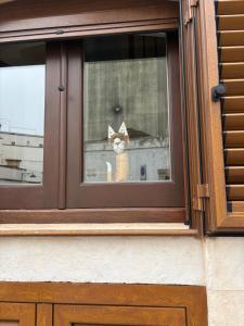 La gatta tra i trulli