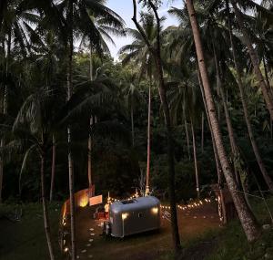 Vintage Trailer in a Jungle