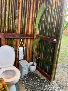 Vintage Trailer in a Jungle