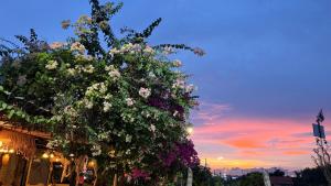 Oasis2 Phuket Airport Glamping