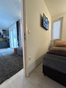 Suite 01