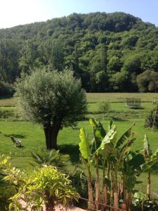 Maisons de vacances pipowagen Blagour midden in de natuur : photos des chambres