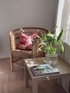 Newly built apartment