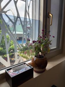 DomaDom Homestay