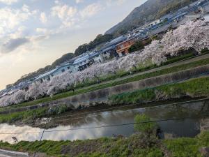 skyroom 太宰府 無料駐車場