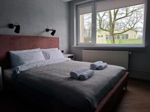 Nemunėlio vitražai