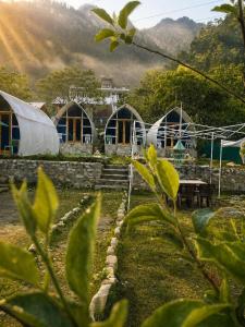 Vintage Vista Camps