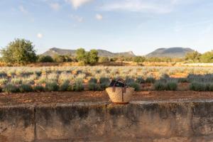 Hotel Agroturismo Finca Son Pieras
