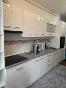 Green Apartment Floresti