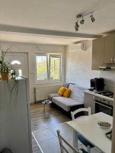 Rural Apartment Ante
