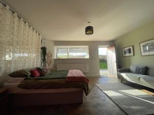 "The Studio" Contemporary studio with organic swimming pool