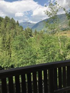 Charmantes Chalet Bijou in der Aletschregion